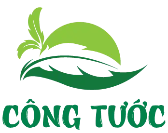 Công Tước – Sản xuất và gia công Trà pha chế