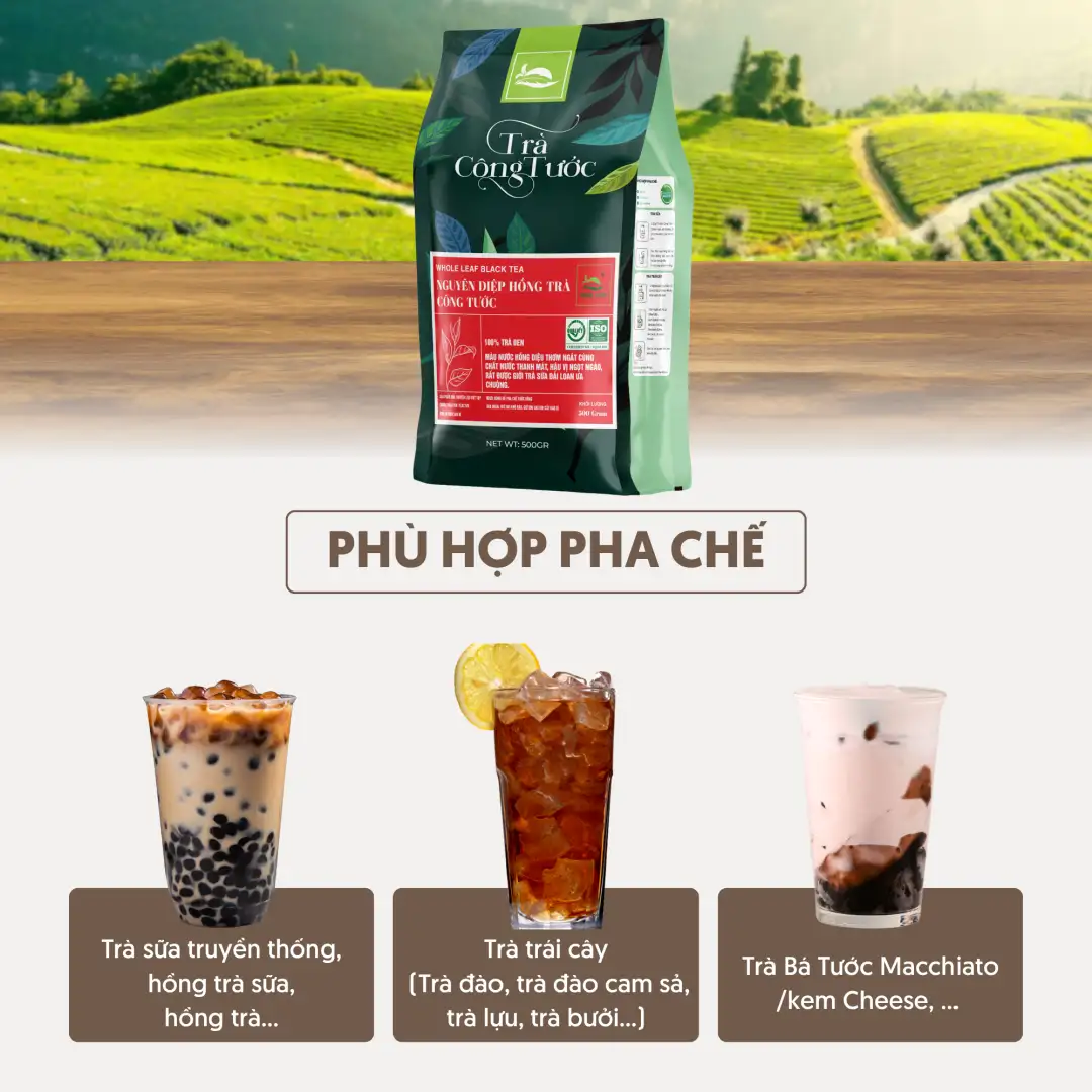 Nguyên diệp hồng trà