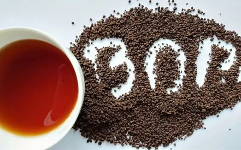 Đồi trà đặc sản Bảo Lộc Lâm Đồng