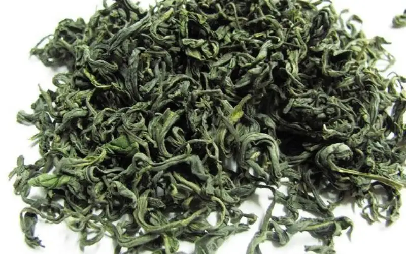 Đồi trà đặc sản Bảo Lộc Lâm Đồng