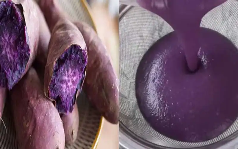 7 Bí Quyết Làm Trà Sữa Trân Châu Từ Khoai Lang Tím — Đơn Giản Mà Ngon Tuyệt