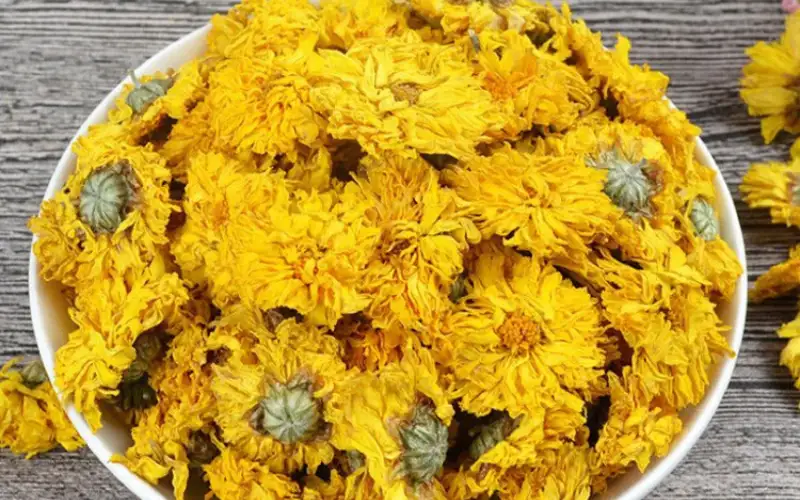 Trà Hoa Cúc – Thức Uống Thanh Mát Với Nhiều Lợi Ích Tuyệt Vời Cho Sức Khỏe Con Người