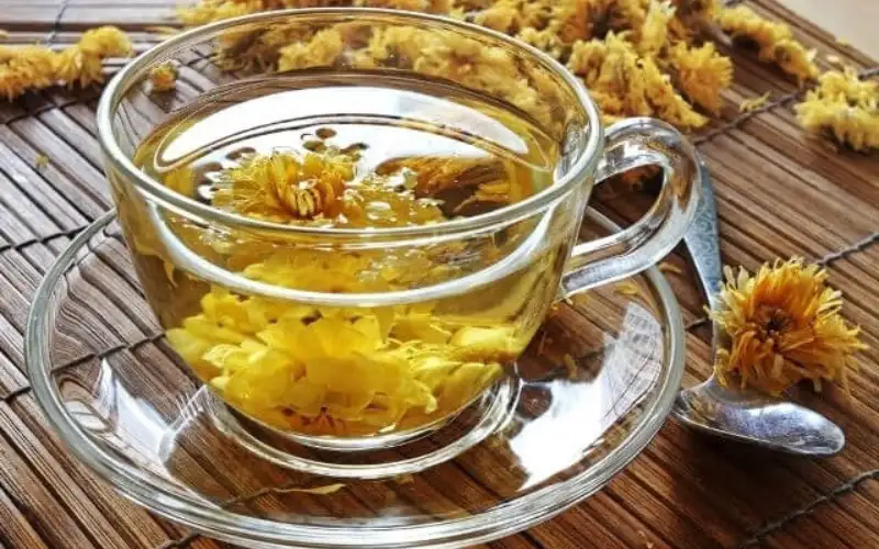 Trà Hoa Cúc – Thức Uống Thanh Mát Với Nhiều Lợi Ích Tuyệt Vời Cho Sức Khỏe Con Người