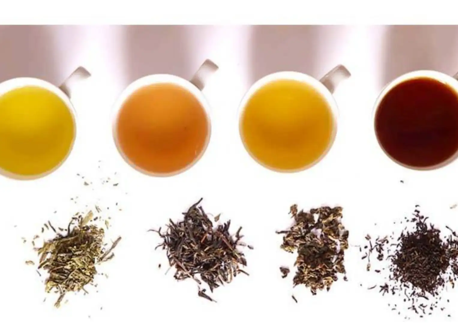 Trà sữa khoai môn dùng trà gì ngon nhất