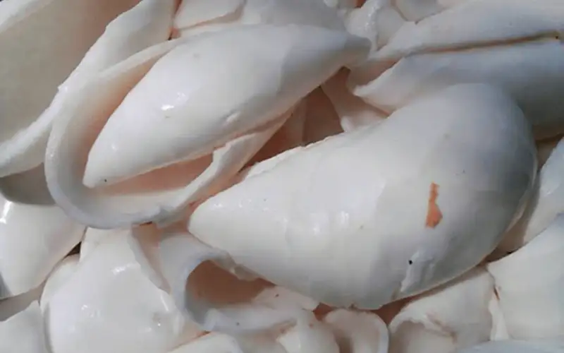 Cách Làm Thạch Dừa Sợi Giòn Lâu, Không Bị Chảy Nước