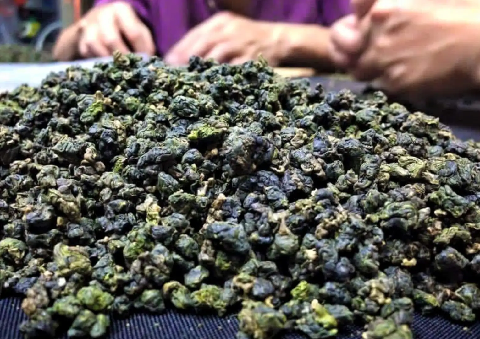 Trà ô long là gì?