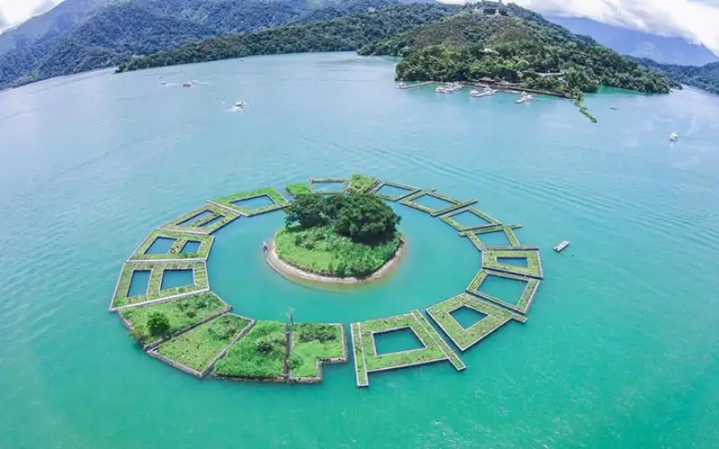 trà đặc sản Đài Loan nổi tiếng