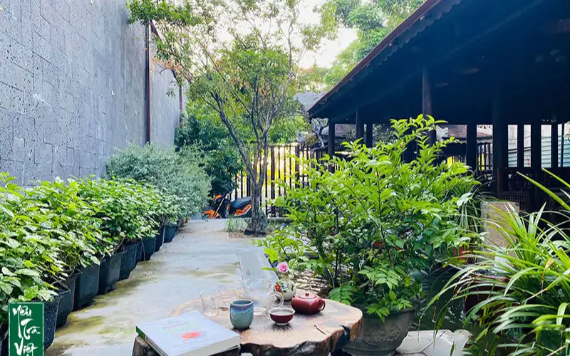 Trà & Không Gian Thưởng Trà – Khi Trà Ngon Hơn Nhờ Không Gian