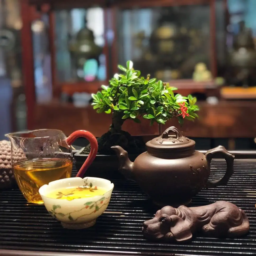 Nước & Nhiệt Độ – Nền Tảng Của Nghệ Thuật Thưởng Trà