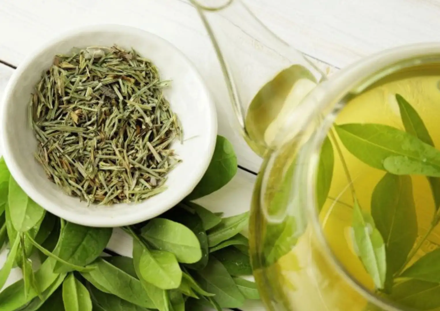 Trà xanh là gì? Vì sao được uống mỗi ngày?