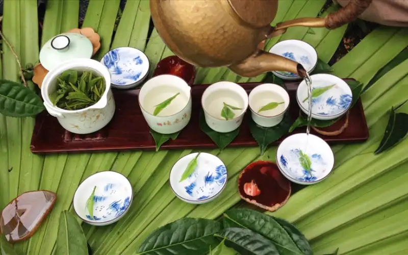 Nước & Nhiệt Độ – Nền Tảng Của Nghệ Thuật Thưởng Trà