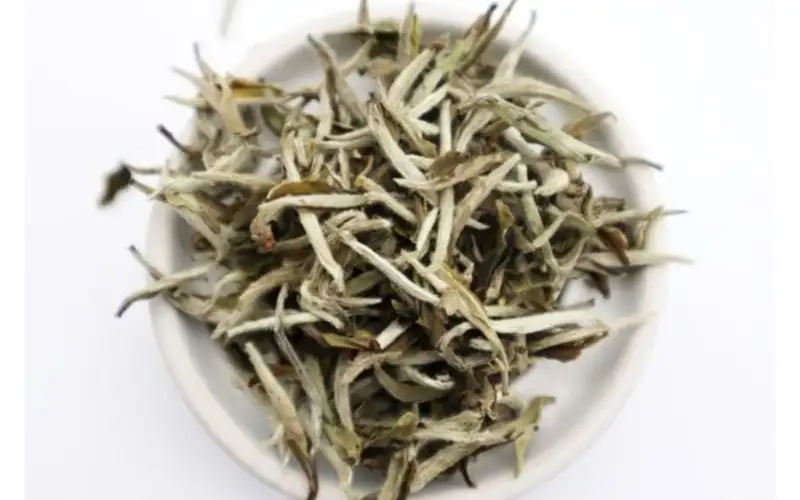 Trà đặc sản Trung Hoa bạch hào ngân trâm