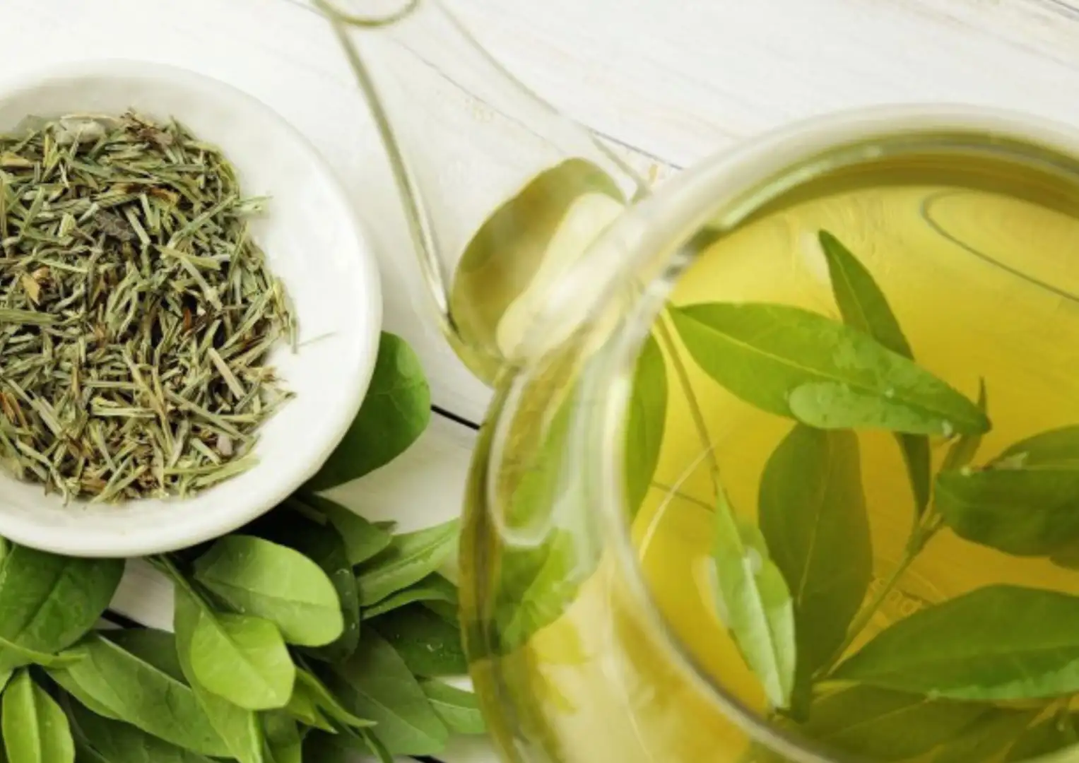 Trà là gì? Tổng quan các loại trà