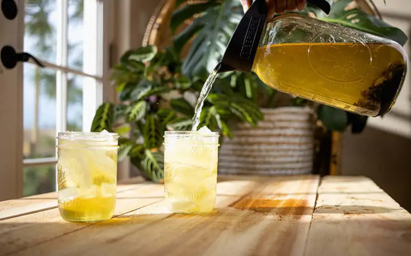 Cold Brew Tea – Trà Ủ Lạnh: Phương Pháp Thưởng Trà Mới Mẻ