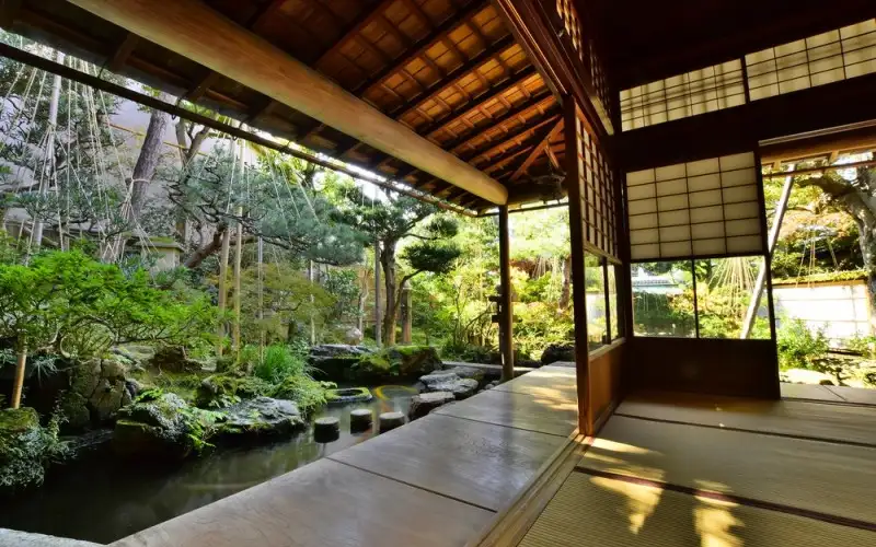 Trà & Không Gian Thưởng Trà – Khi Trà Ngon Hơn Nhờ Không Gian