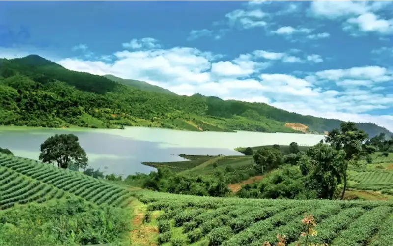 Vùng Trà Đặc Sản Việt Nam – Bản đồ 34