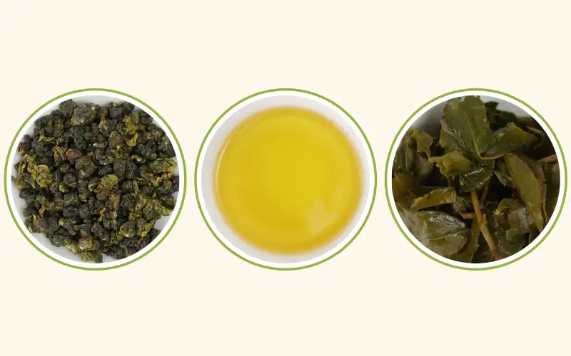 So Sánh Trà Oolong Tứ Quý – Kim Tuyên – Thúy Ngọc