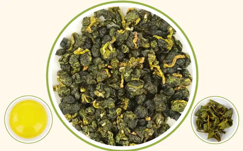 Trà Oolong Kim Tuyên – Tinh hoa trà hương sữa từ vùng trà Bảo Lộc