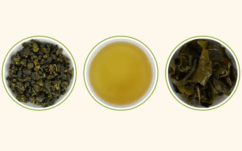 So Sánh Trà Oolong Tứ Quý – Kim Tuyên – Thúy Ngọc