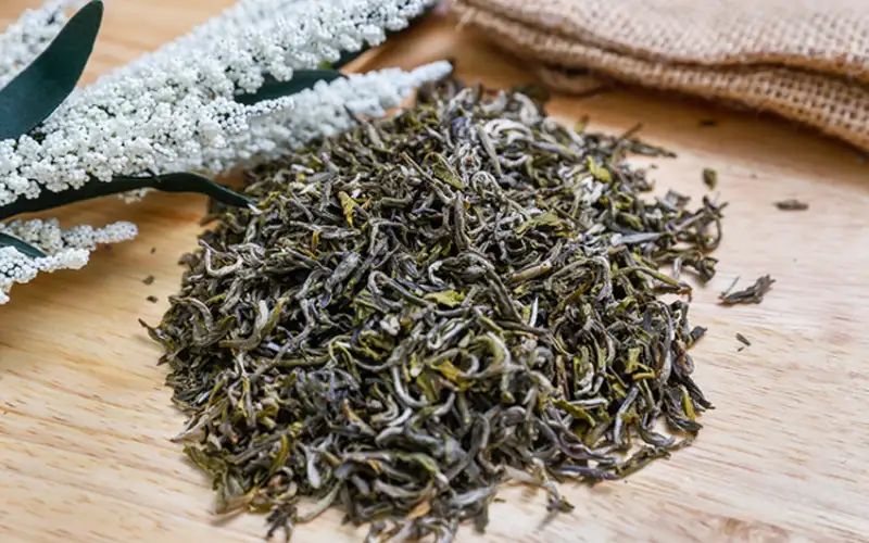 Nguồn gốc trà Shan Tuyết Việt Nam