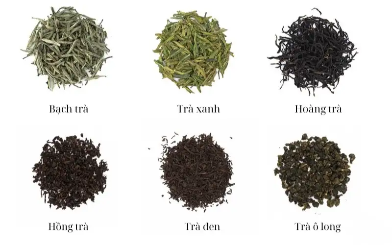 Trà Nền Pha Chế Là Gì? Cách Chọn Nền Trà Quyết Định Vị Đồ Uống