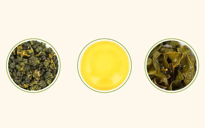 Cách pha Trà Oolong Kim Tuyên chuẩn vị giúp giữ hương sữa tự nhiên