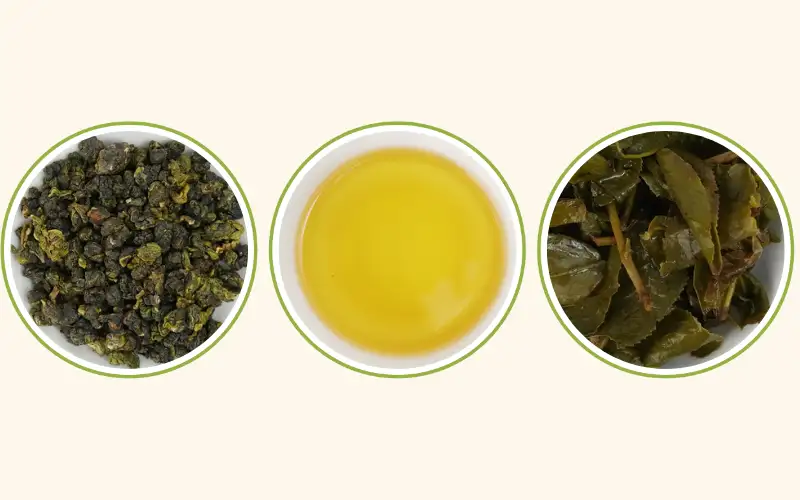 Trà oolong xu hướng 2026 – Vì sao trở thành trụ cột trà pha chế?