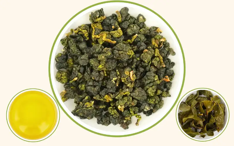 Trà Oolong Kim Tuyên – Tinh hoa trà hương sữa từ vùng trà Bảo Lộc