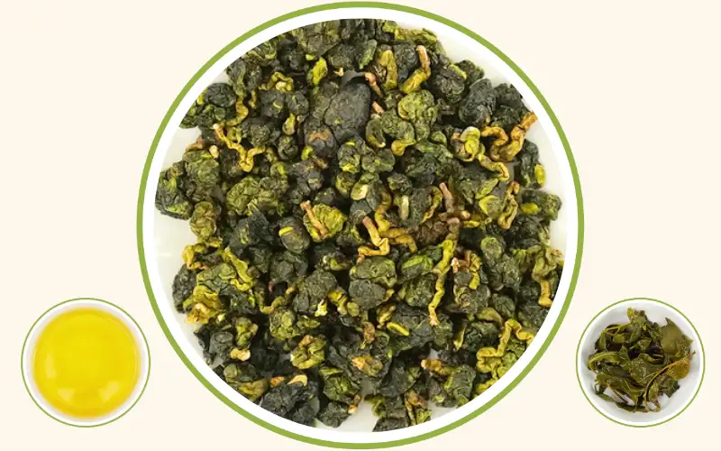 Trà Oolong Kim Tuyên – Tinh hoa trà hương sữa từ vùng trà Bảo Lộc