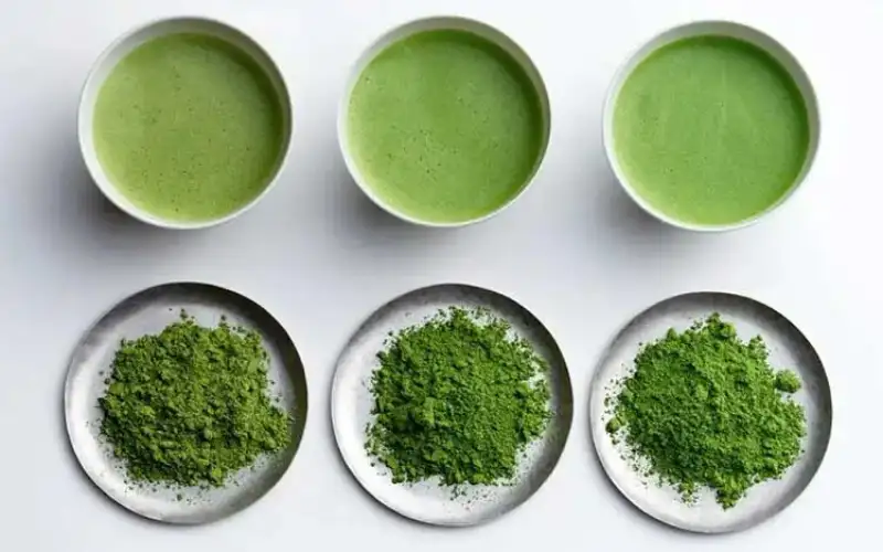 Chọn Bột Matcha Theo Mục Đích: Uống Thuần, Pha Sữa, Làm Bánh