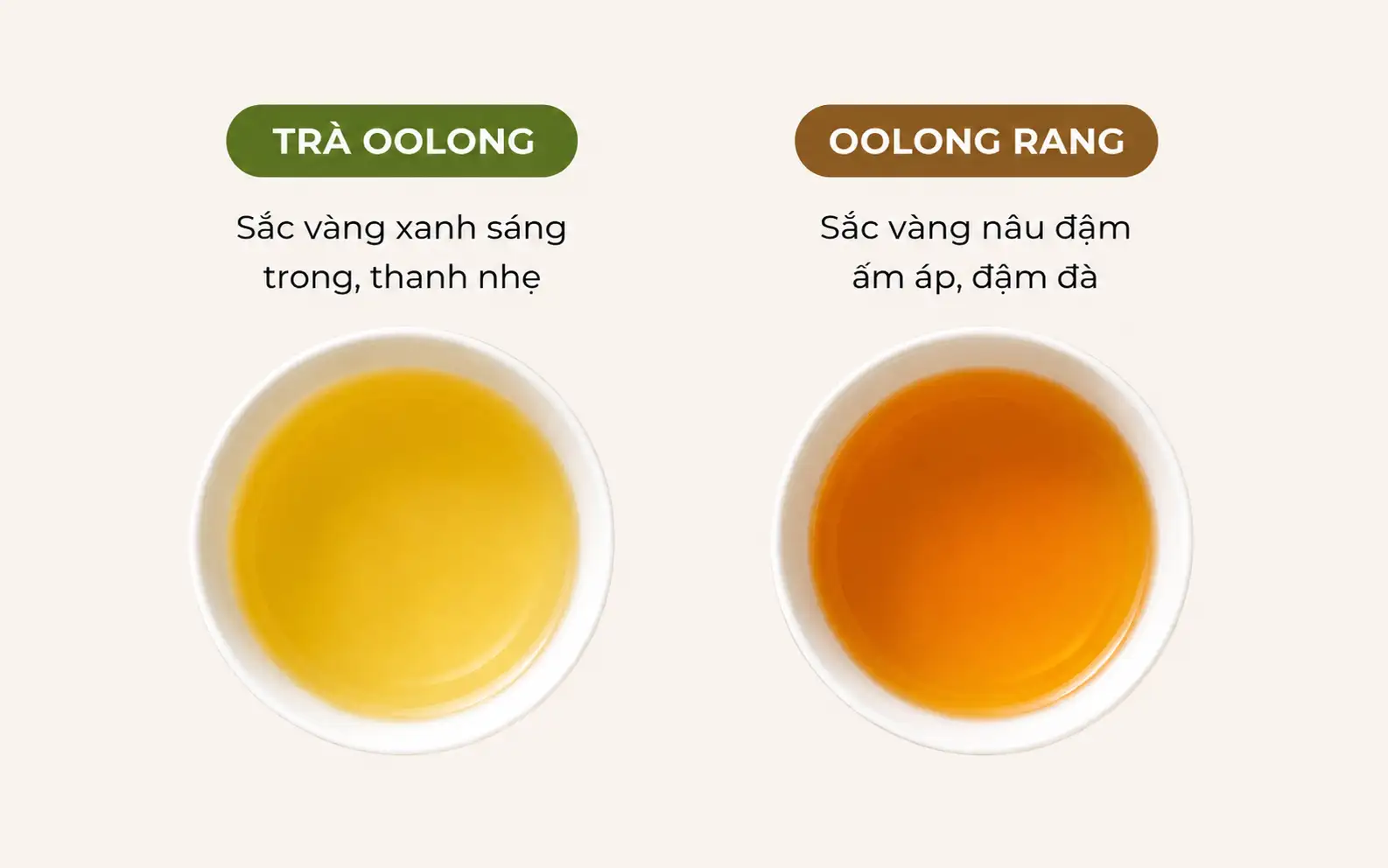 SO SÁNH TRÀ OOLONG VÀ TRÀ OOLONG RANG