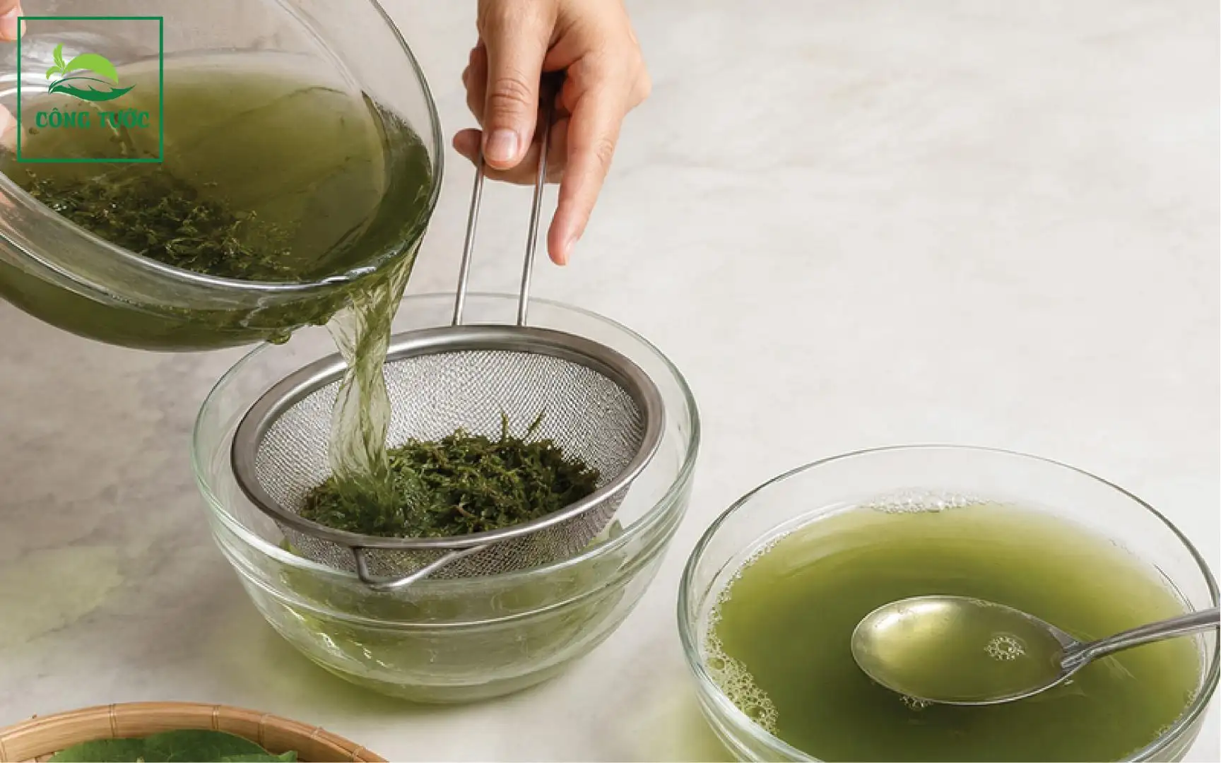 Sương Sâm Hạt Chia