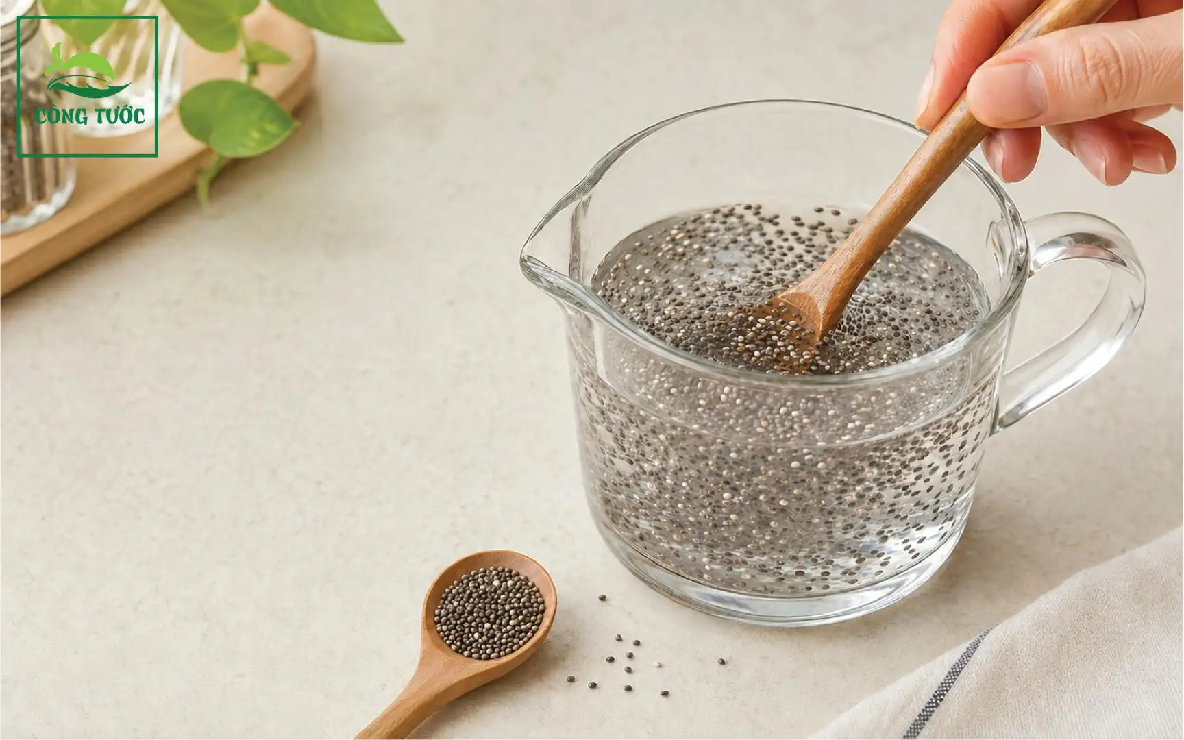 Sương Sâm Hạt Chia