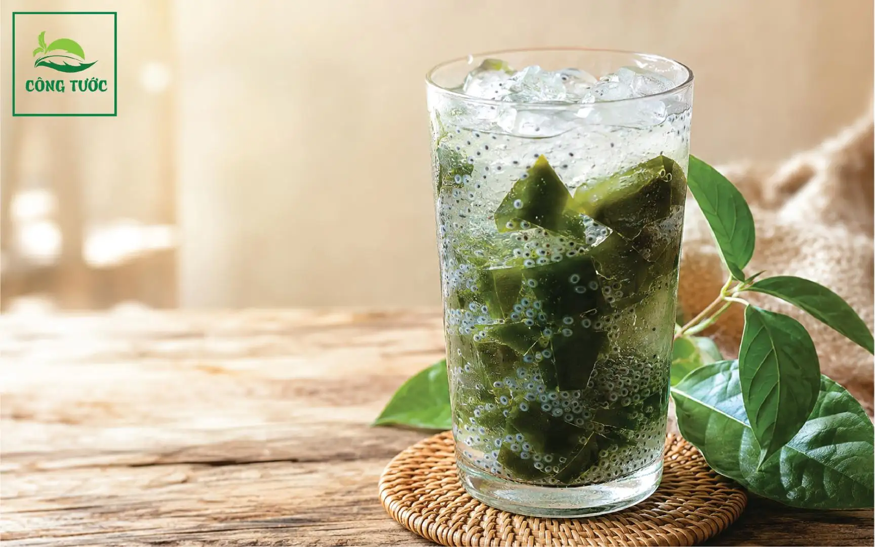 Sương Sâm Hạt Chia