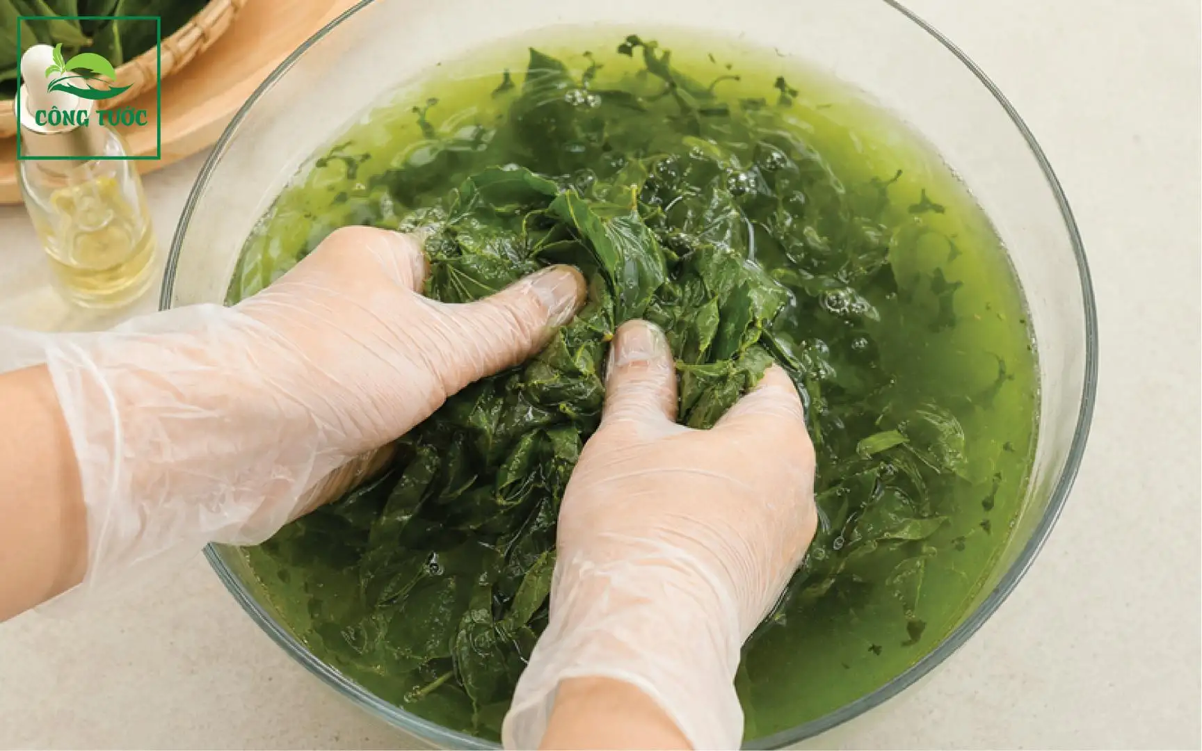 Sương Sâm Hạt Chia