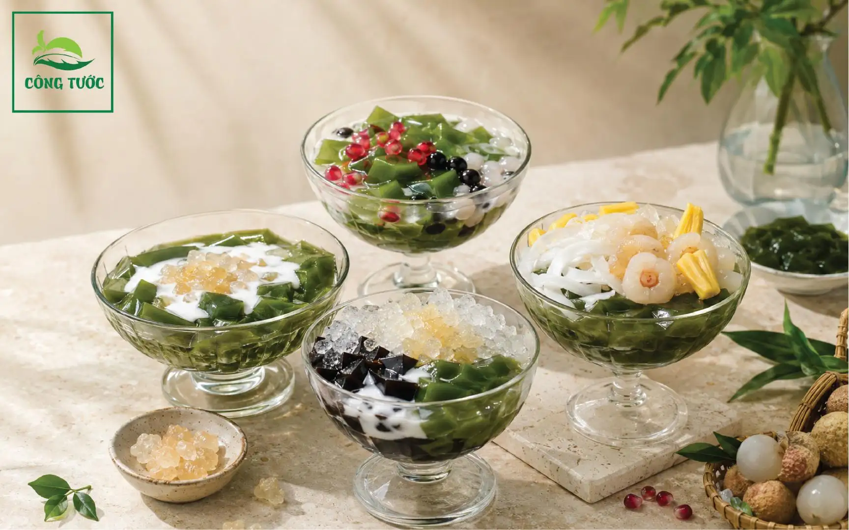 Sương Sâm Hạt Chia