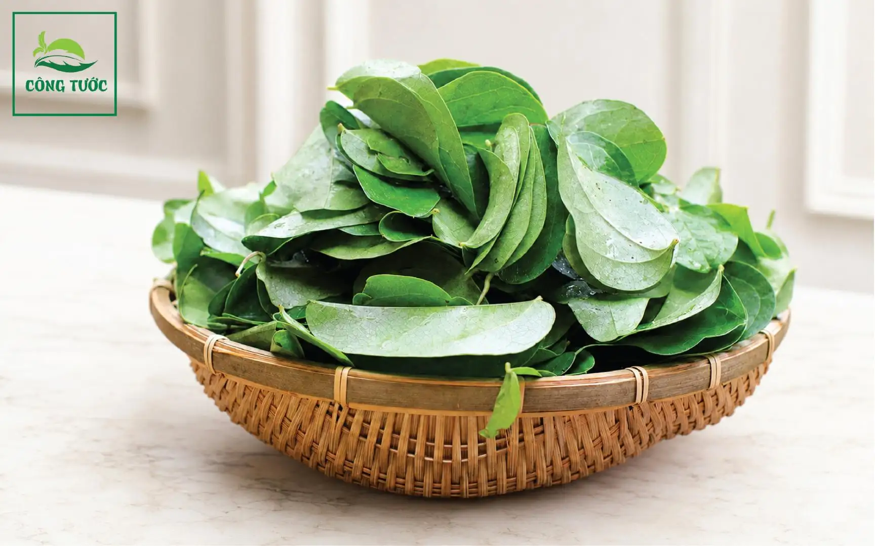 Sương Sâm Hạt Chia
