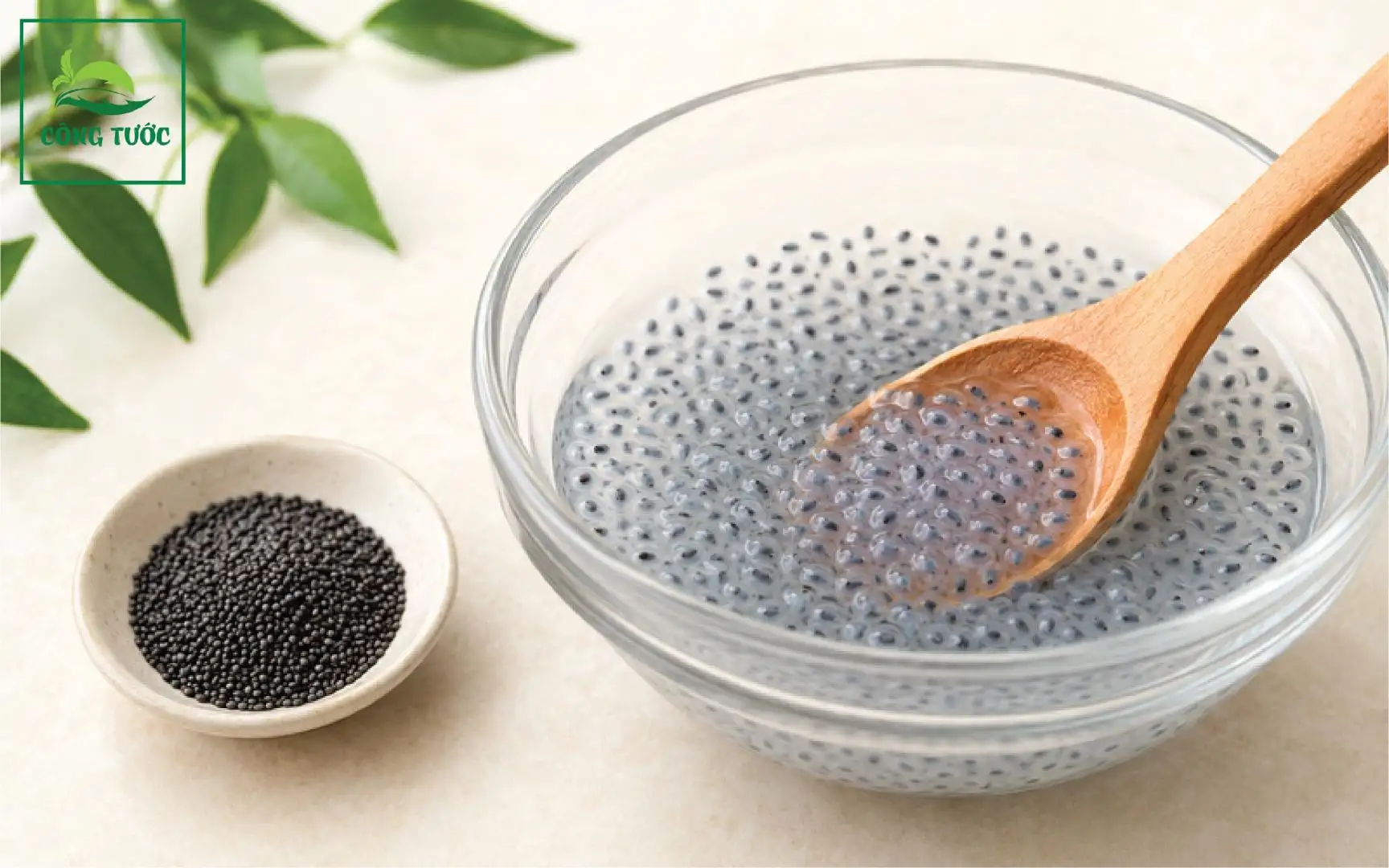Sương Sáo Nước Cốt Dừa Hạt É
