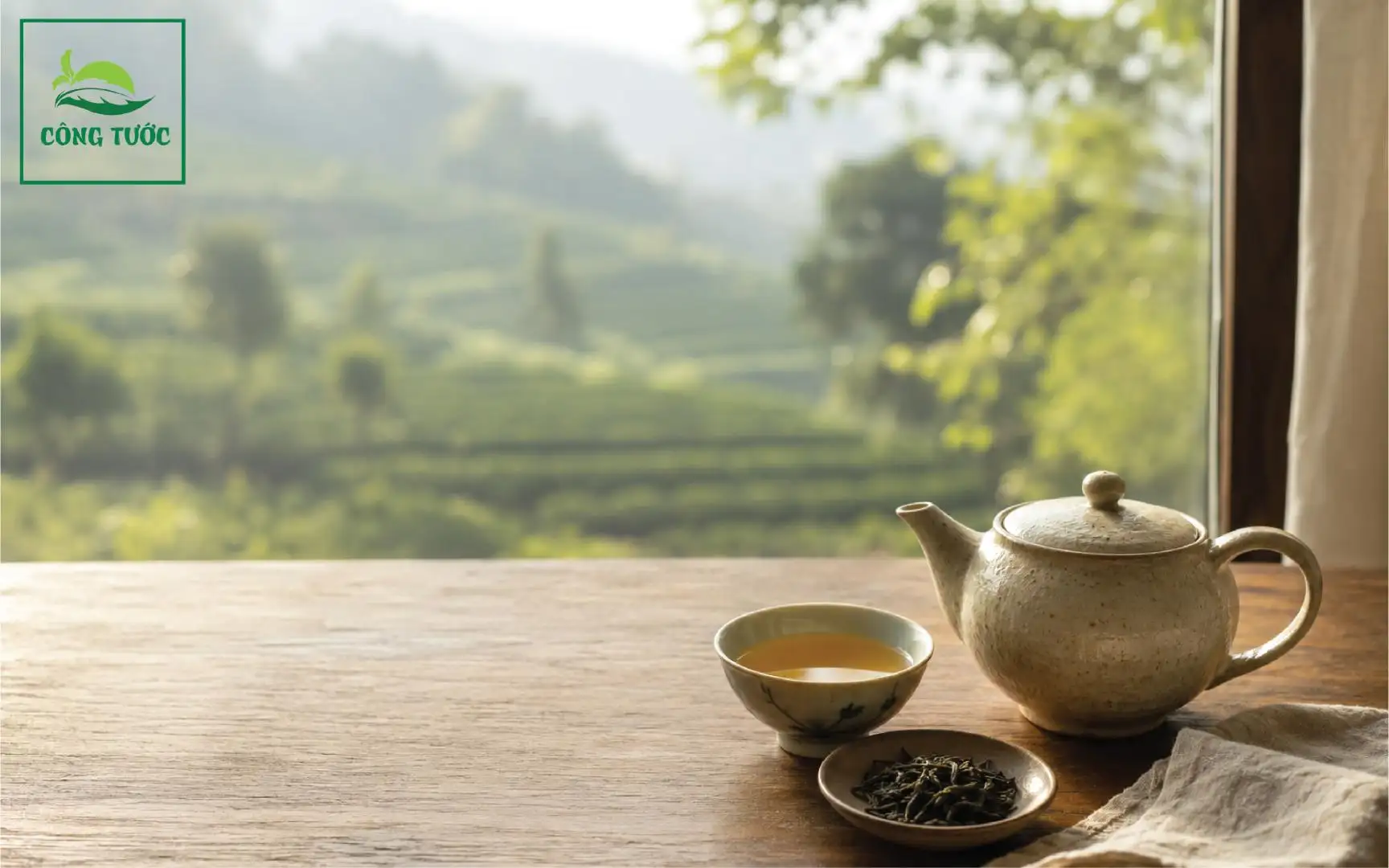 Trà sớm bên cửa sổ Bảo Lộc