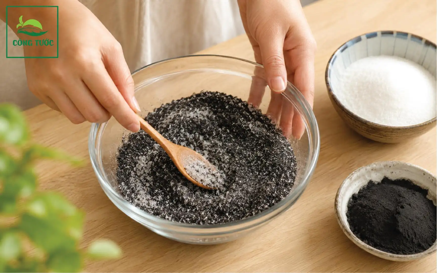 Sương Sáo Nước Cốt Dừa Hạt É