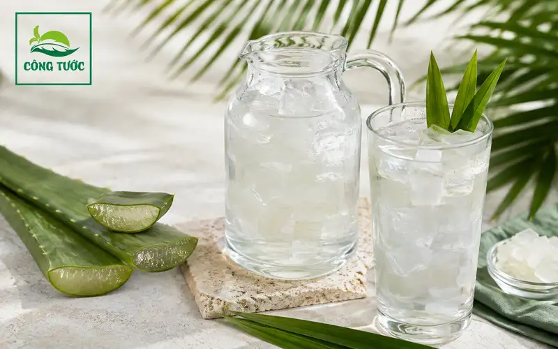 Thức Uống Tự Nấu