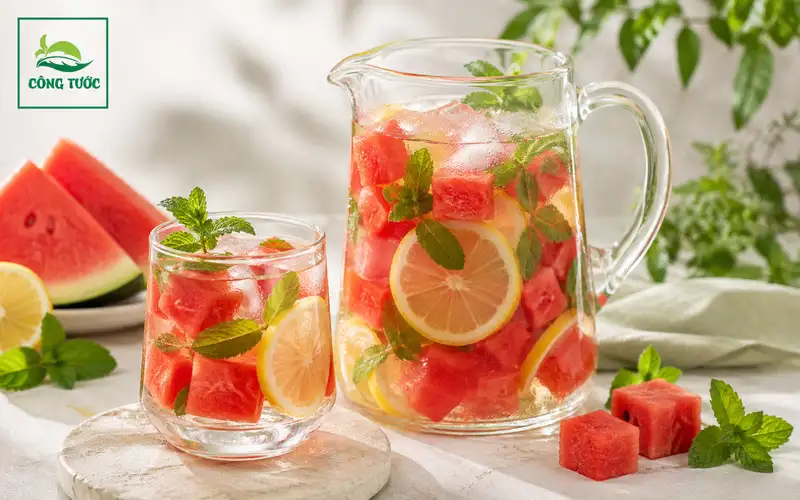 Nước Chanh Ngâm Trái Cây