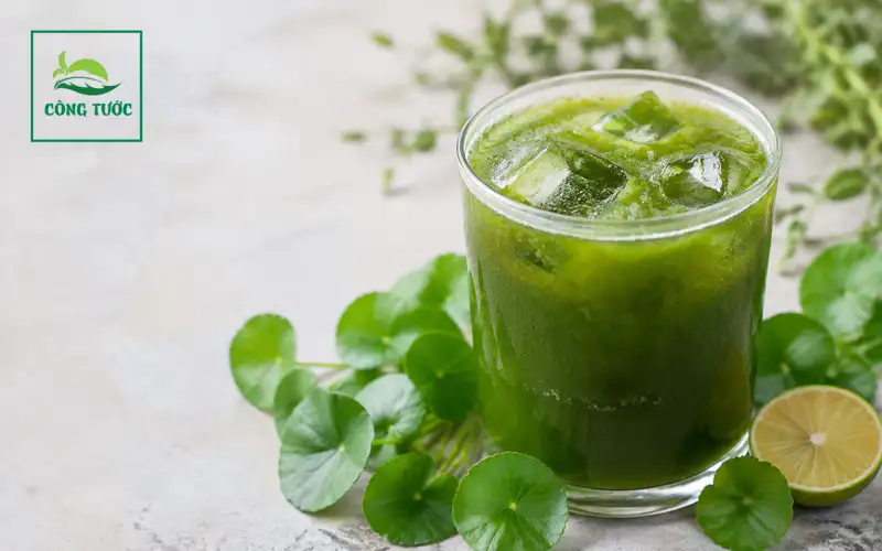 Người Tăng Huyết Áp Nên Uống Gì?
